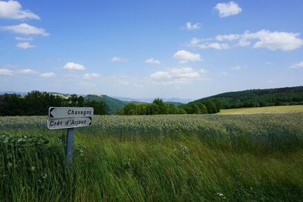 Monts du Lyonnais - Entre granit et pierres dorées - Boucle 2.1