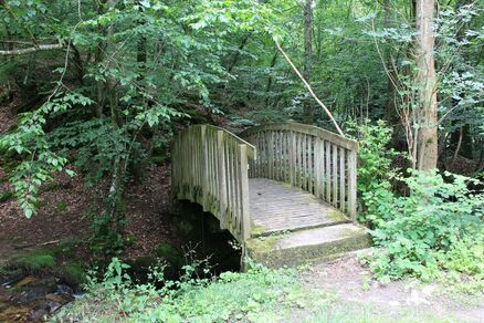 Sentier des bords de Coise - Saint Denis sur Coise