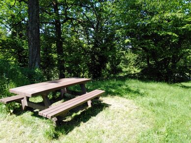 Aire de pique nique du parc du Petit Pont