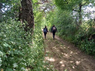 Sentier pollinier sentinelle