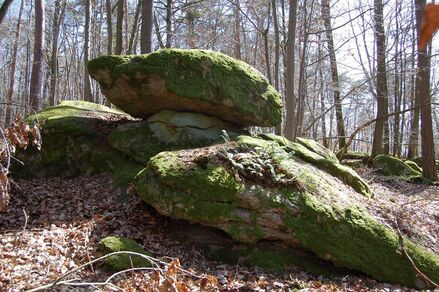 Le Bois des Roches