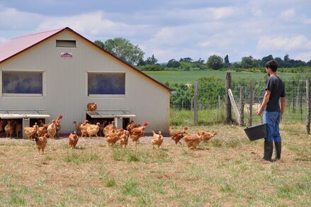 La Ferme des Collonges