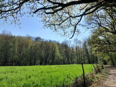 Espace Naturel Sensible de la Vallée en Barret