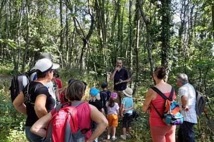 Sortie Nature: découverte des petites bêtes du sol