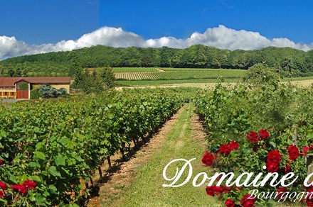 Domaine de Rotisson