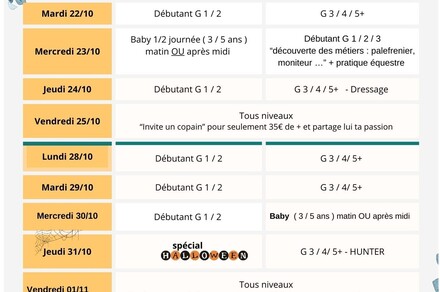 Stages d'équitation pour tous - Vacances de Toussaint