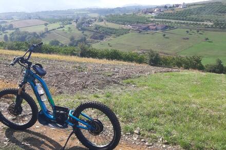 Randonnée en trottinette électrique tout terrain (groupe)