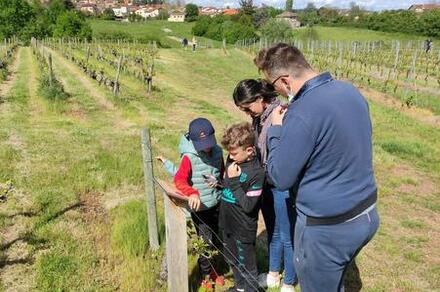 Escape Game dans les vignes : La Dernière Amphore