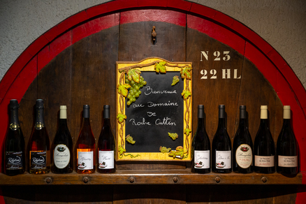 Domaine de Roche Cattin