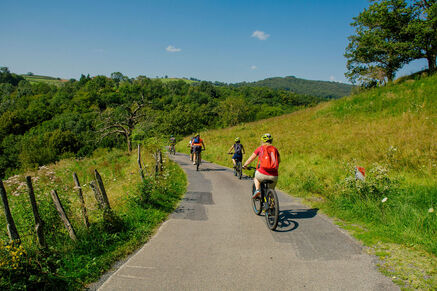 Balade à VTT électrique : Les prairies de Savigny