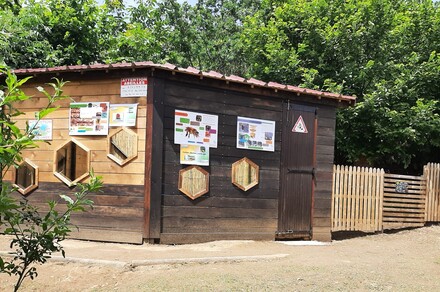 Découverte des abeilles et atelier bougie