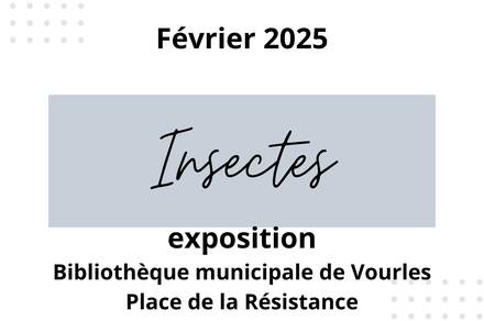 Exposition Insectes