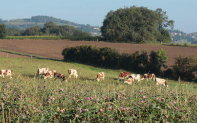 S’échapper dans les Monts du Lyonnais sans voiture, c’est possible !