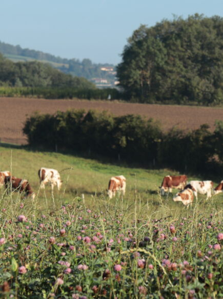 S’échapper dans les Monts du Lyonnais sans voiture, c’est possible !