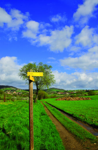 chaussan-signaletique-de-randonnee-poteau-en-bois-lames-directionnelles-©