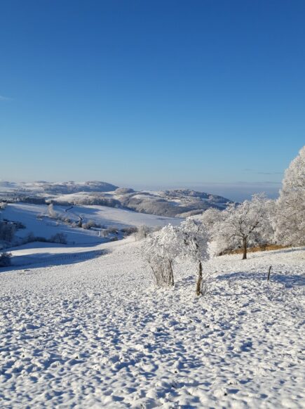 L'hiver, la nature est votre meilleure alliée pour un moral au top !