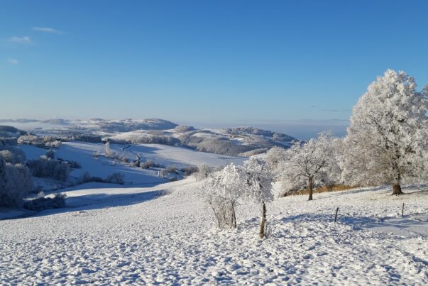 L'hiver, la nature est votre meilleure alliée pour un moral au top !