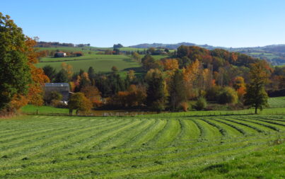 Nos 3 plus belles randos à faire en automne