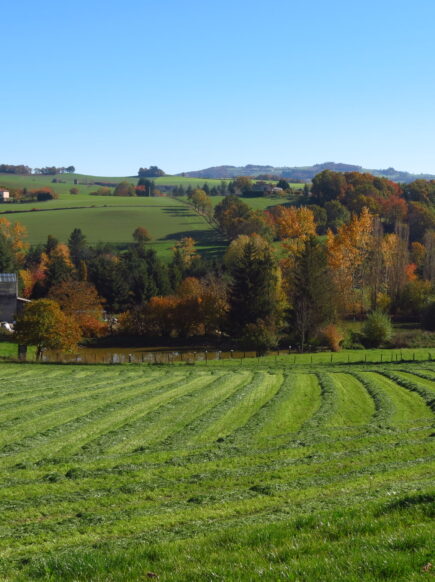 Nos 3 plus belles randos à faire en automne