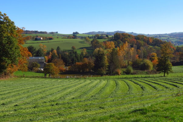 Nos 3 plus belles randos à faire en automne